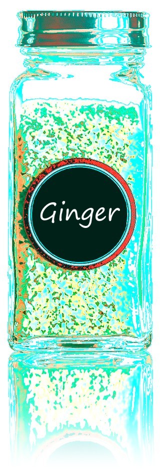 Ginger Spice